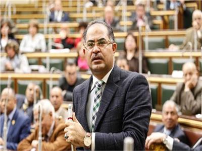 النائب سليمان وهدان، نائب رئيس حزب الوفد بمجلس النواب
