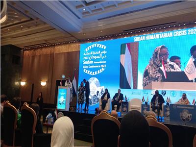 الرئيس التنفيذي لـ«وعي السودانية» تشكر مصر لاستضافتها مؤتمر القضايا الإنسانية في السودان