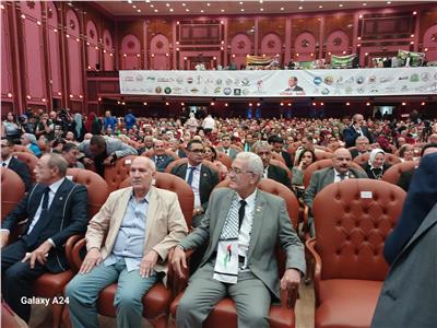 فاعليات المؤتمر الجماهيري لدعم وتأييد المرشح الرئاسي السيد عبد الفتاح السيسي في الانتخابات الرئاسية
