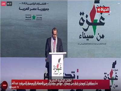 المستشار محمود فوزي رئيس الحملة الرسمية للمرشح الرئاسي عبد الفتاح السيسي