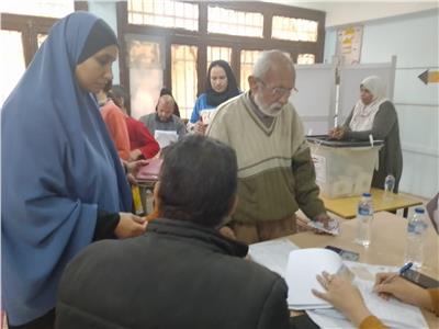 إقبال كبير من كبار السن على اللجان الانتخابية بالقليوبية