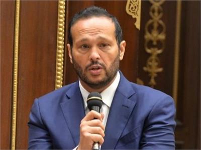 محمد حلاوة رئيس لجنة الصناعة بالشيوخ