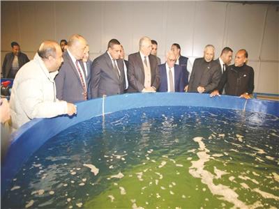 حـضانة تحت الماء| مركز لعلاج أمراض الأسماك ببورسعيد