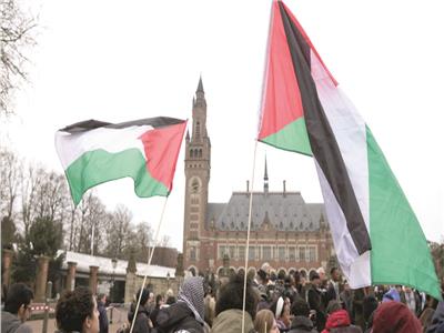 متظاهرون يرفعون علم فلسطين بالقرب من محكمة العدل الدولية