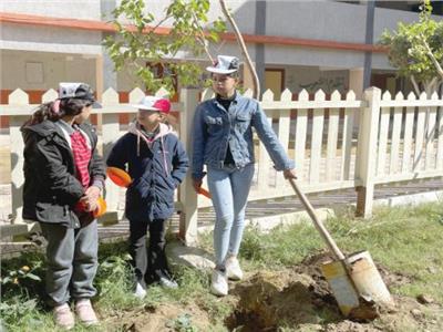 التشجير فكر وثقافة| زراعة ٣٠٠ شجرة مثمرة بعدد من مدارس القاهرة