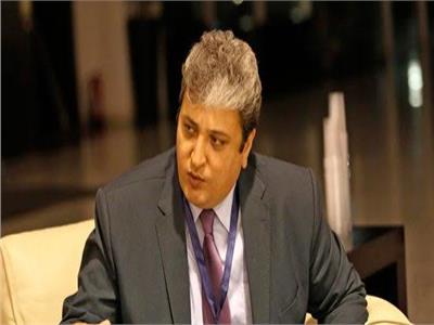 رئيس مجلس أمناء المنظمة العربية لحقوق الإنسان علاء شلبي