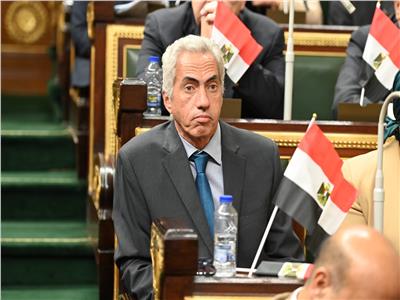  النائب عمرو السنباطي عضو مجلس النواب 