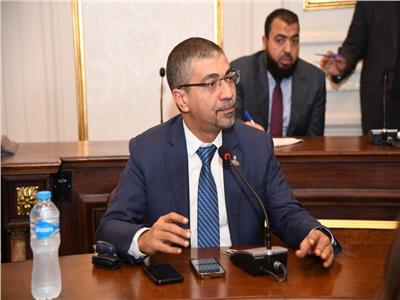 النائب محمد البدري عضو لجنة الصحة بمجلس الشيوخ