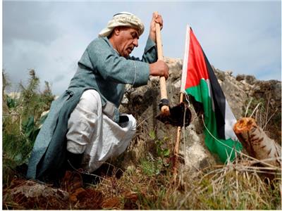  نضال الشعب الفلسطين