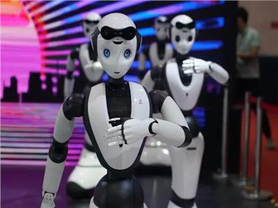 الروبوتات الصينية 