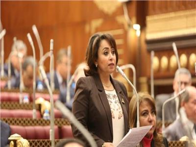 الدكتورة رشا إسحق أمين سر لجنة حقوق الإنسان