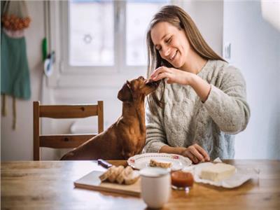 لمحبي الحيوانات الأليفة.. 4 نصائح مفيدة لتعزيز صحة كلبك