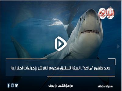 بعد ظهور «ماكو».. البيئة تستبق هجوم القرش بإجراءات احترازية| فيديوجراف