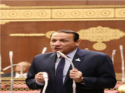  النائب أيمن عبد المحسن رئيس الهيئة البرلمانية لحزب حماة الوطن 