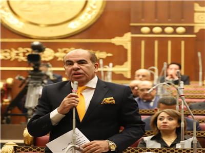 النائب ياسر الهضيبي، عضو مجلس الشيوخ