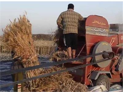 ماكينة حصاد محصول القمح