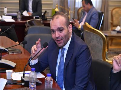 النائب كريم طلعت السادات، عضو مجلس النواب