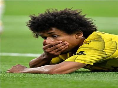 كريم أديمي