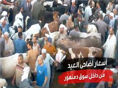 أسواق بيع الأضاحى 