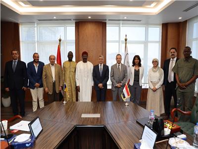 وفد شركة إيزري بـ «تشاد» يبحث التعاون مع وكالة الفضاء المصرية