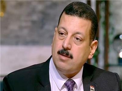 الدكتور أيمن حمزة، المتحدث باسم وزارة الكهرباء