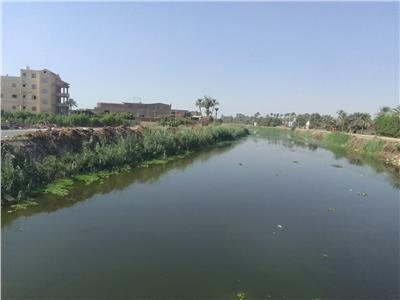 موضوعية