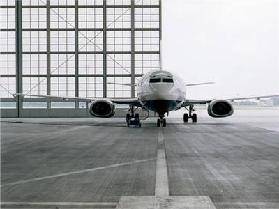 صورة موضوعية_ حشرات تجتاح عنبر طائرة 
