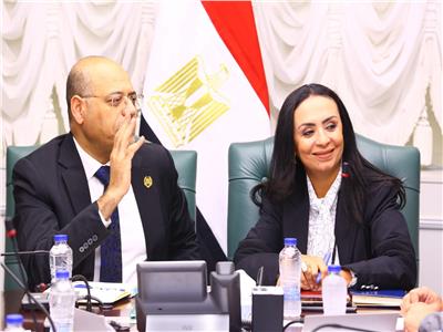 وزيرا التضامن الاجتماعي والعمل