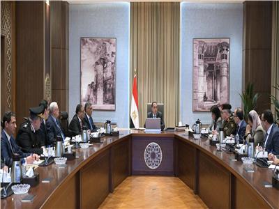 مجلس الوزراء