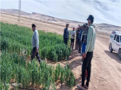  فريق من الباحثين المتخصصين بمركز بحوث الصحراء