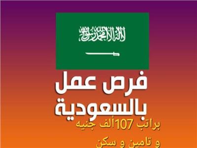 ارشيفية