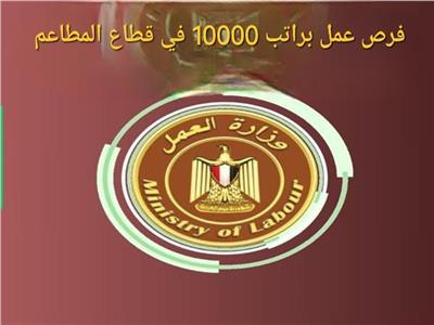 فرص عمل