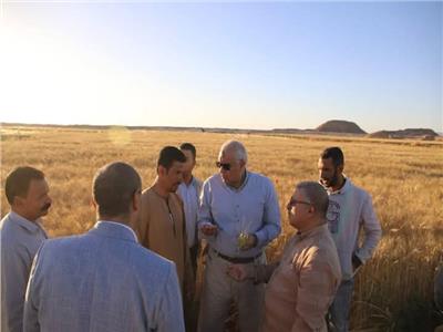 صورة خلال الجولة