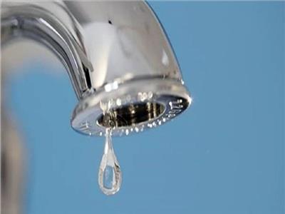صورة موضوعية