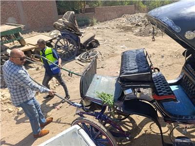 حملة مكبرة استهدفت ضبط عربات الحنطور المخالفة 