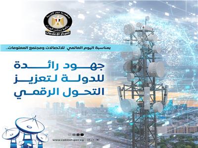  جهود الدولة في دعم التحول الرقمي