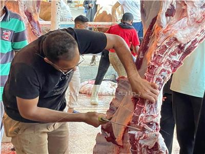 الأضحية