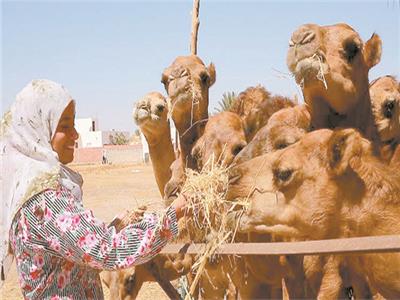 صورة موضوعية