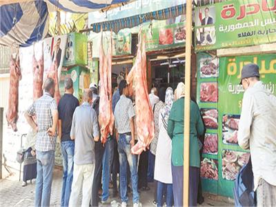 «عيش ولحم».. أضحية العيد تجارة وشطارة