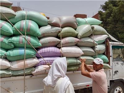 توريد القمح