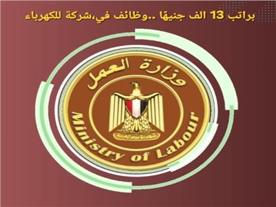 وزارة العمل 