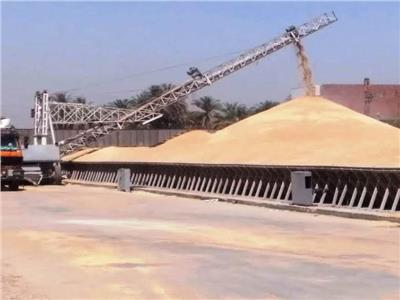 توريد القمح