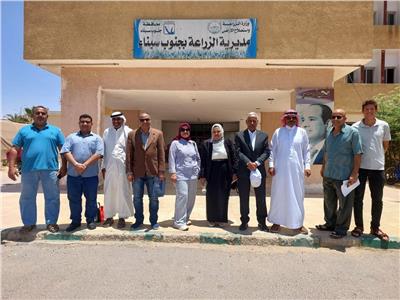 "بحوث الصحراء" ينظم ورشة عمل لتوثيق المؤشر الجغرافي لزيت الزيتون برأس سدر