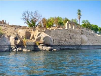 الفيل في مصر القديمة.. أول مدرعة حربية في التاريخ