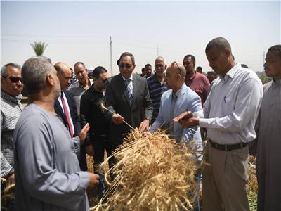  تعلن انتهاء موسم توريد القمح للعام الحالي 