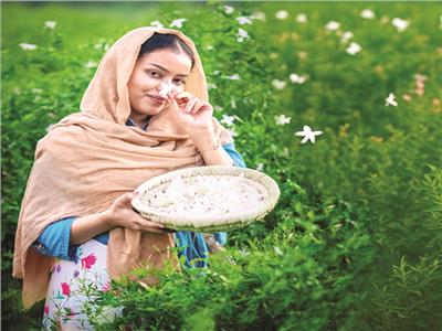 حكايات| «شبرا بلولة».. قرية تصنع نصف عطور العالم