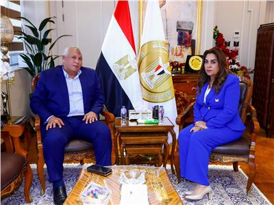 *وزيرة التنمية المحلية تبحث مع محافظ الوادي الجديد