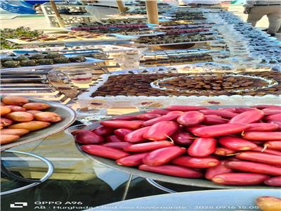  مهرجان البلح