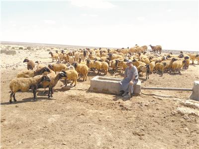 الآبار الرومانية مخازن «أمطار الخير» فى صحراء مطروح