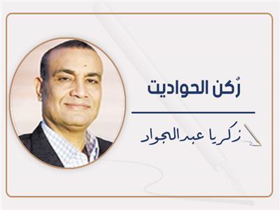    «صفية أمين»